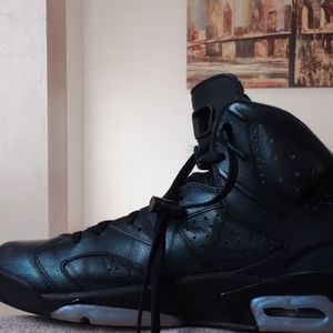 Michael Jordan's 2017 retro #6s "chameleon"